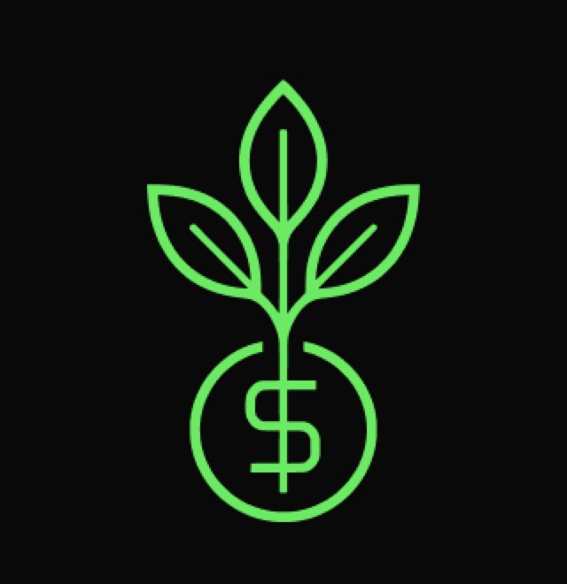 Money Plant Club